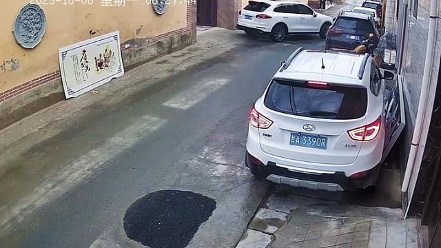 专业车手，新手做不到