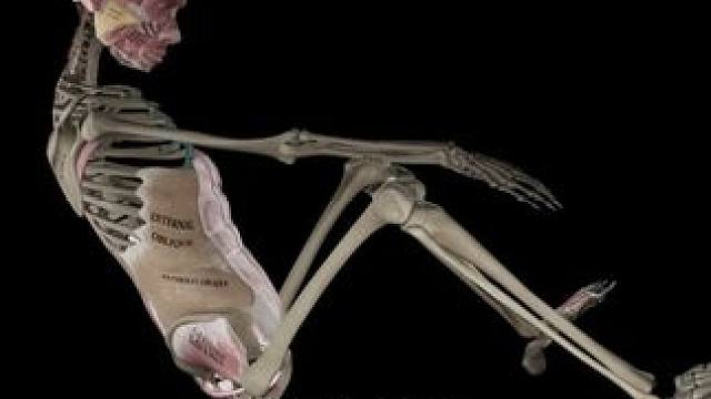 久坐必练，改善髋灵活下背部不适 髋九零九零必然是一个改善髋关节活动度最好的动作之一，做好这个动作可以