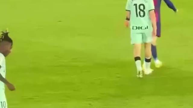 优秀的人都是一样的优秀，亚马尔&尼科