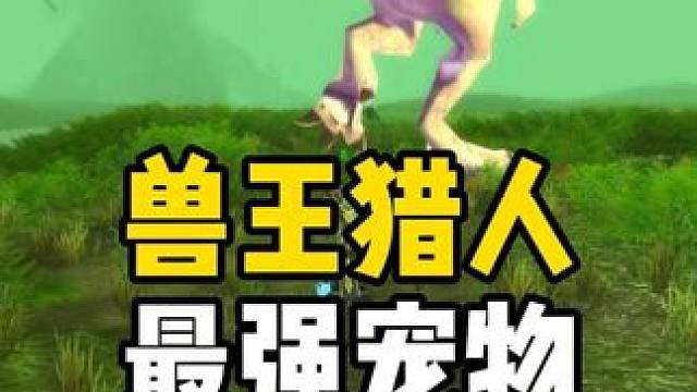 时光服 兽王猎人最强宠物 需要野兽主宰天赋 射击和生存无法驯服