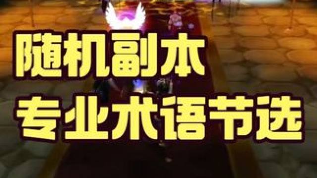 随机副本 专业术语节选