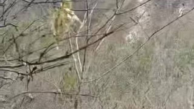 挖山药不易，价值有点高，不建议每个人都吃，量力而行！