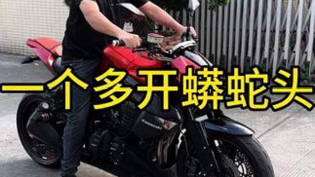 一个多开蟒蛇头，13年川崎z1000升级新款车头