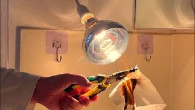 这个取暖灯相当暖和啊