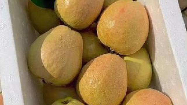 啊啊谁懂！真的好吃到舔手指啊！回购n次的广西红心芭乐，口感软糯香甜，细腻丝滑，就像吃冰淇淋一样，个头