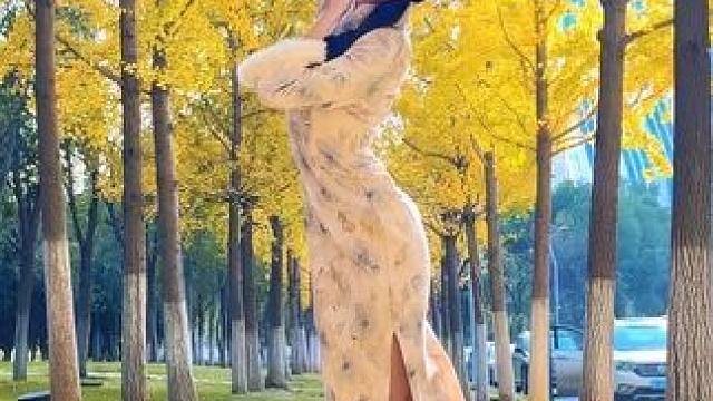 “清风上南枝 梦中仍相思”