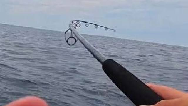 小伙钓到了一条巨大的马林鱼