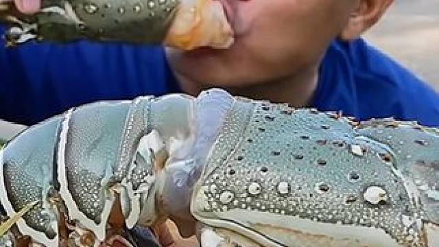 刺身大龙虾馋了好久了