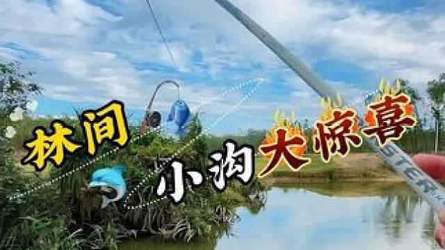 大娘果然没骗我 真的有大鱼