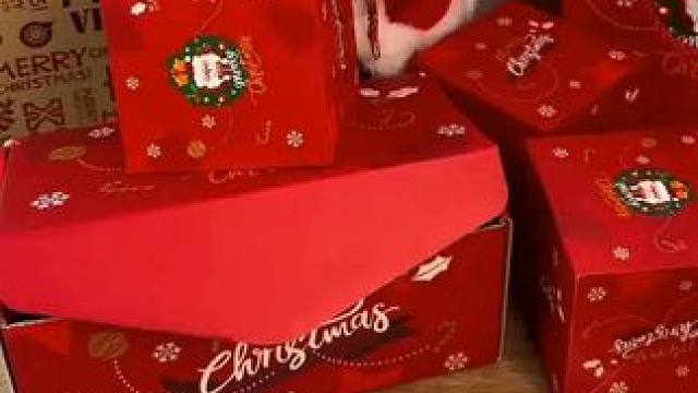 这是最好的礼物吗？