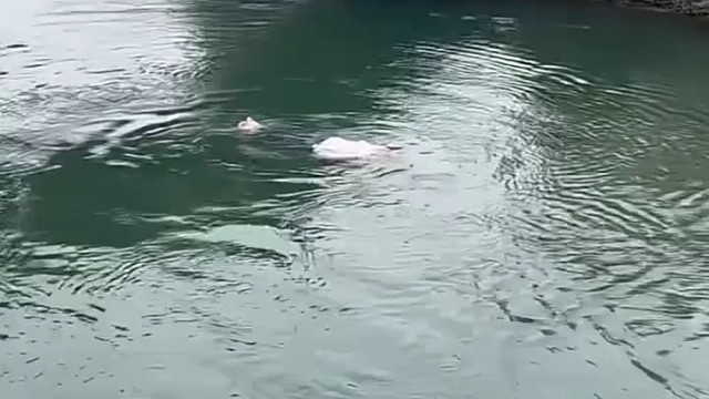 牛逼啊拖鞋居然没丢[捂脸]