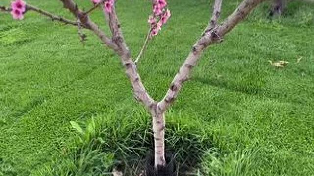 我发布了一个新视频，快来围观吧！