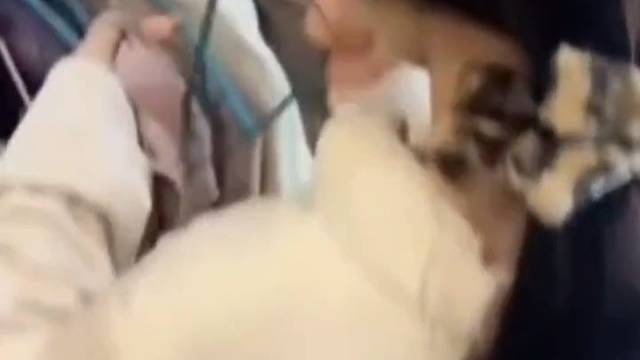 也不是我亲生的