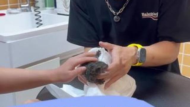 日常洗护 松鼠 被咬那是对我的爱 我血液里至少有2斤是育苗