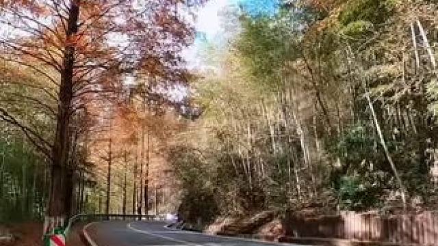 越来越喜欢独处，享受那份安静； 遇到不喜欢的人和事，多一句都不想讲，很多事看淡了，不想去了解别人，也