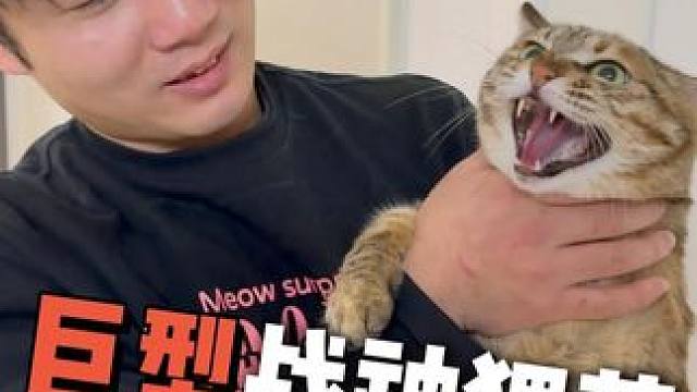 又凶又胖又话痨的战神！田园真的上大分！