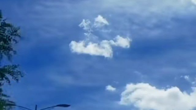 蓝蓝的天空飞老楞