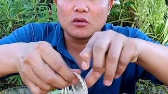 海鲜酸辣酱汁脆嫩️大毛蛤