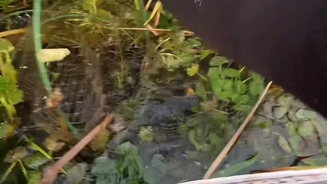 #户外捕鱼大队 #捕鱼河边随拍 #捕捞现场  #丝网捕鱼