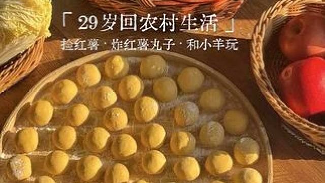 在乡下的日子/捡新鲜红薯回家 做点好吃的