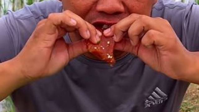 第一次吃腌过的三文鱼