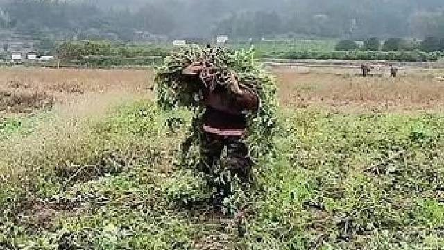 山卡卡里的农村大姐一部手机直播30天变现2000新人首播一个小工具直接拿去用轻松开播