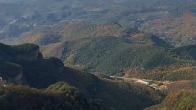 秋末的枝头还挂着金黄，冬天的风已经裹着凉意钻进了袖口！