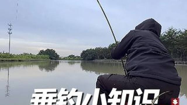 最近很多兄弟都问到冬天如何选择一支好竿，那一定是 #