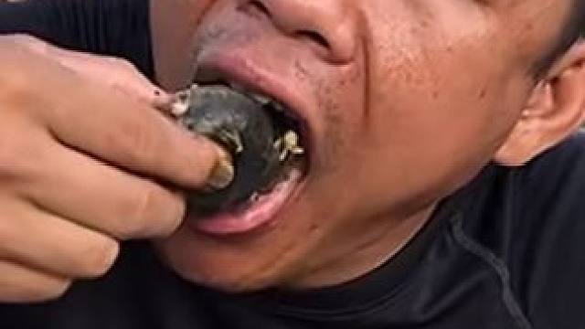 一口一只满籽蛋蛋蛙