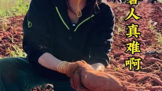 愿天下种薯人都有好收成