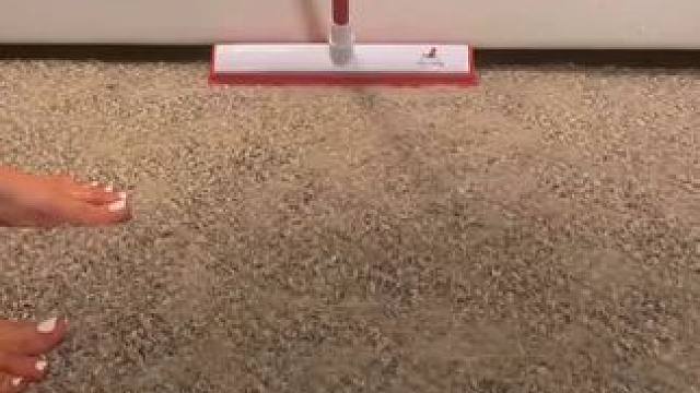 这款靛蓝宠物脱毛扫帚彻底改变了游戏规则 - 特价...