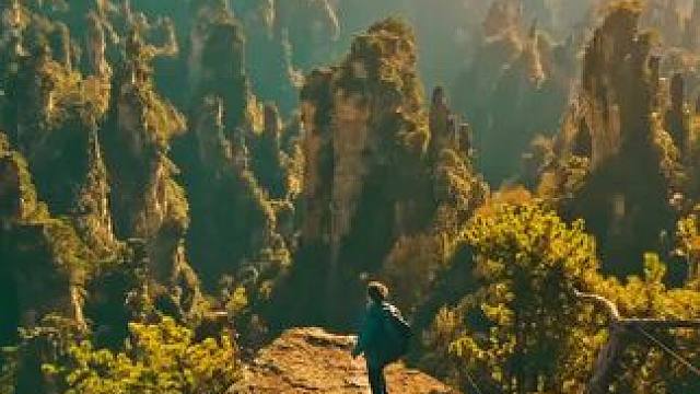 张家界的秋天MVP结算机位就在天子山。