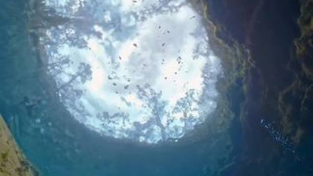 这不是游出洞穴，这是飞向月亮