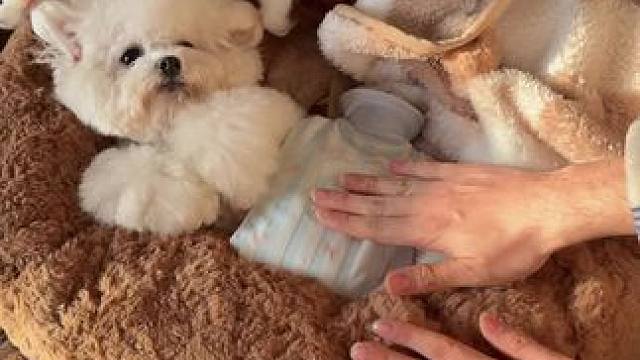 女孩纸生理期都要被温柔照顾呀