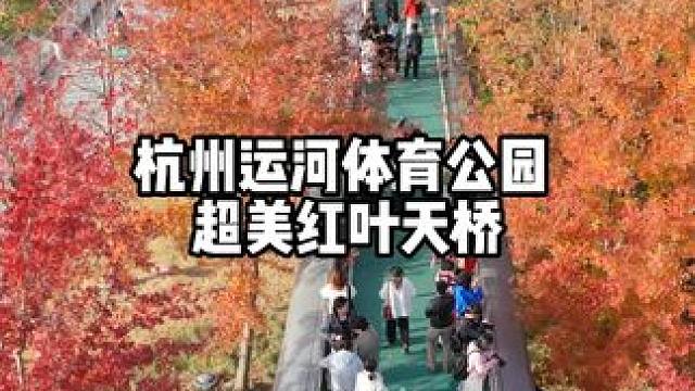 杭州超美红叶天桥，11月25日实拍，现场是真的好看，人也挺多的，导航到沈家桥头32号楼，地铁10号线