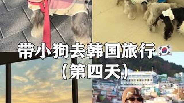 Vlog.328带小狗去韩国旅行️ 第四天：釜山玩一天 观海列车—胶囊小火车—甘川村—海上缆车—