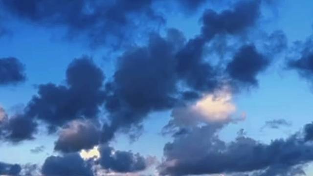 性是边角料 爱是安眠药