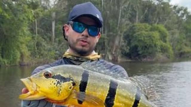 孔雀鲈生性凶猛味道鲜美