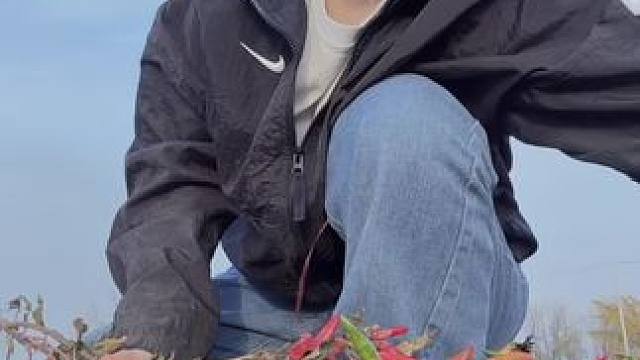 老爸说“弄到头回家” 拉倒吧