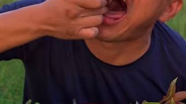 牛瘪酱汁大片鲜牛杂