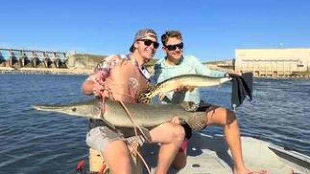 水下全是鳄雀鳝