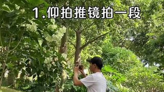 出游看到花花美景试试这样拍