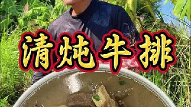 天呐 一锅清炖牛排 炖出一抹纯净的鲜嫩