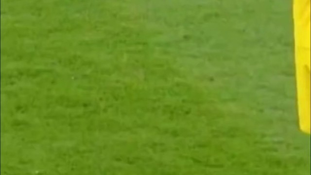 猜猜哪个天才回来了