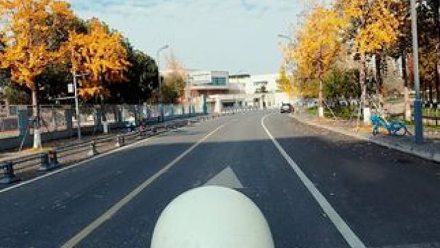 在成洛都当五星好市民的一天