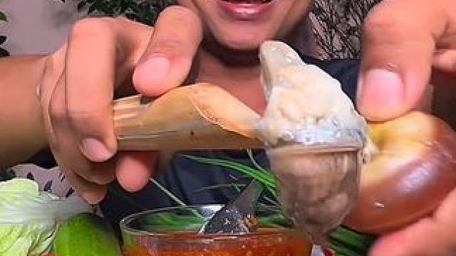 剁椒辣酱️新鲜大蜗牛