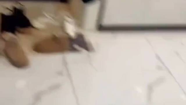 这还不明显是啥吗