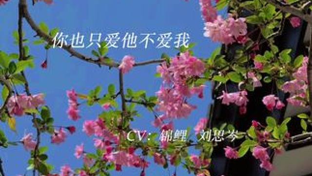 没有查无此攻，真的是攻……额……哭包攻也是攻……