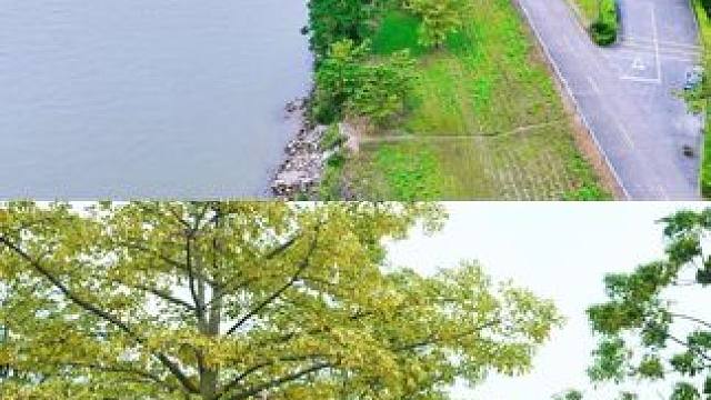 不用人挤人顺德一个非常舒服清静的野营地 人少免费够晒静分享一个宝藏露营地 详细位置看视频结