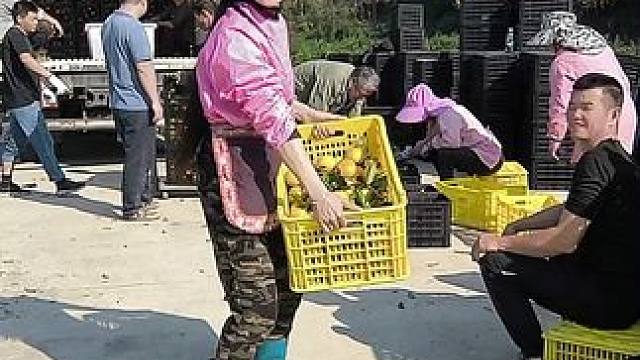 山卡卡里的农村大姐一部手机直播30天变现2000新人首播一个小工具直接拿去用轻松开播